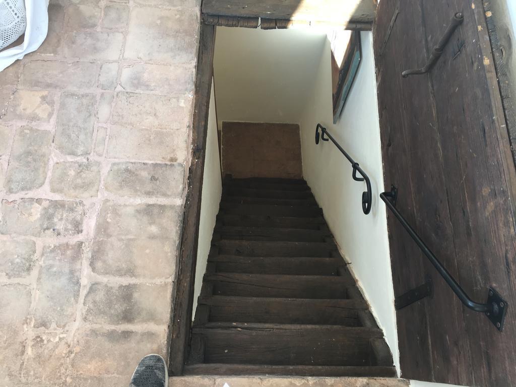Antica Casa Zucchini B&B 博洛尼亚 外观 照片